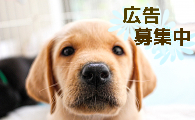 広告募集中2